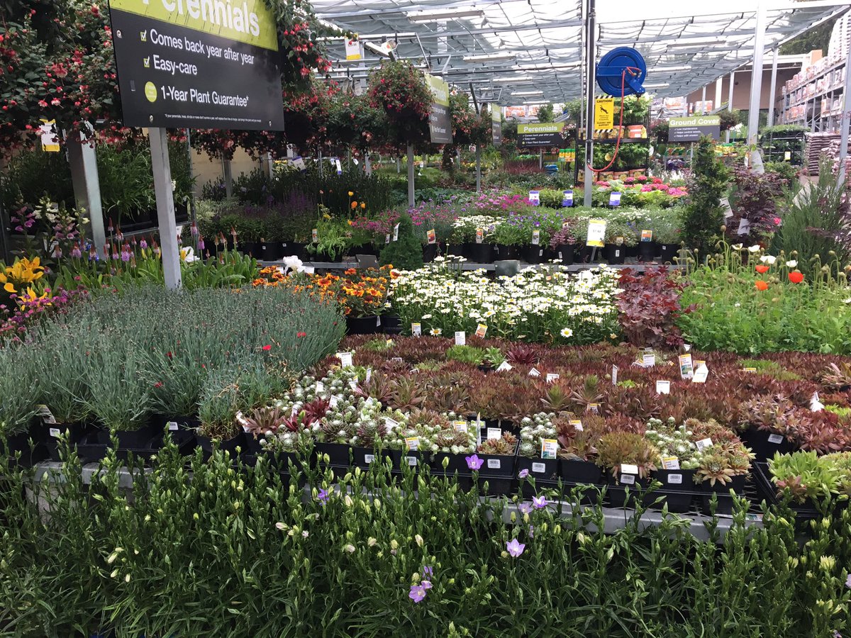 Jim Engstrom (@stretchrunjim) on Twitter photo It's a jungle out there... Tarzan shops here because of the amazing selection, you should too! #maybetrue #gorillaintukwila <a href="/THDPNWPride/">Michele Rustvold</a> It's a jungle out there... Tarzan shops here because of the amazing selection, you should too! #maybetrue #gorillaintukwila <a href="/THDPNWPride/">Michele Rustvold</a>