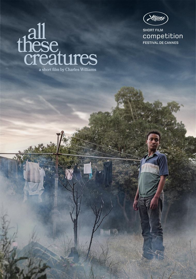 allocine's tweet photo. #AllTheseCreatures remporte la Palme d'Or du court métrage - #Cannes2018 https://t.co/eYbe9DPbol