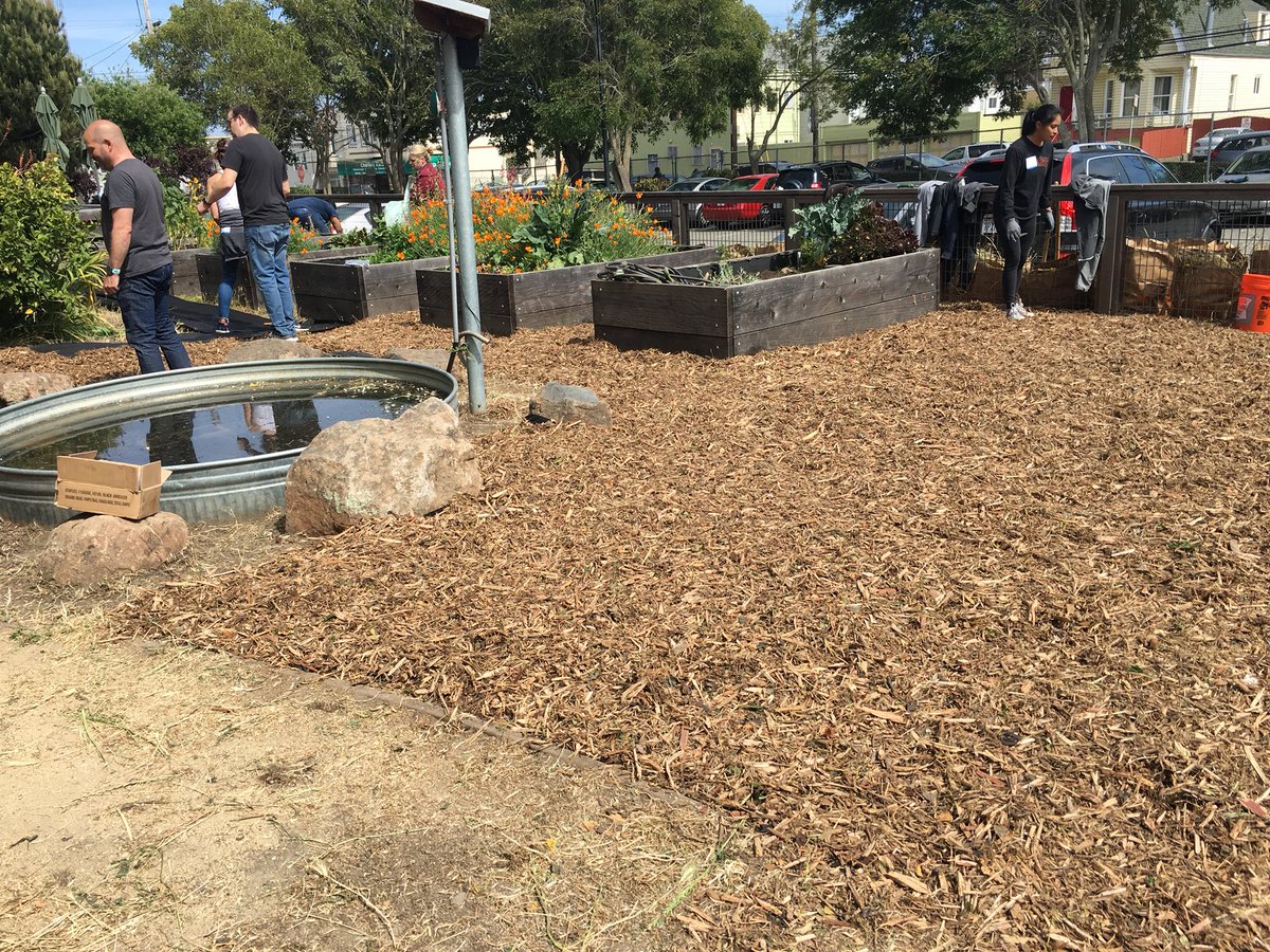 Thanks to a great team of colleagues, we cleaned up a school garden, before and after pics , #TwitterForGood