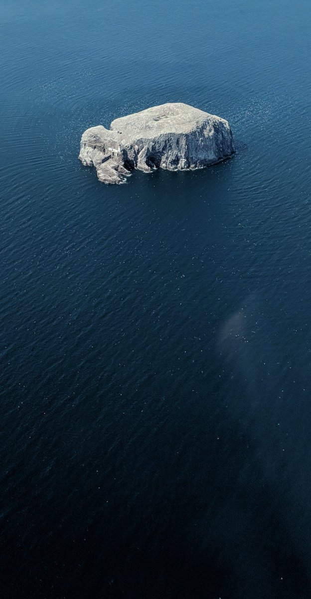 Jon Berger tweet media