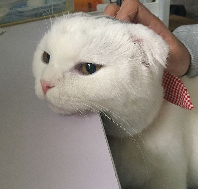 Cuando intento ocultar mis celos y veo que es felíz sin mi.