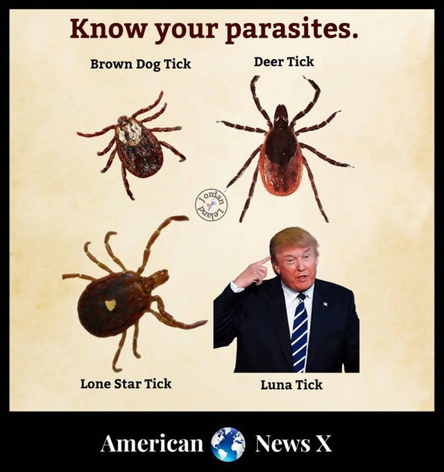 Stop_Trump20's tweet photo. https://t.co/EKZgODDGfG