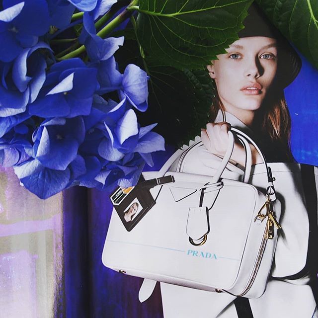 TINAKORTMANN1's tweet photo. 🌸Happy saturday friends 🌸I have just come back from the market with this amazing flower and think this one fits perfectly with #Prada in #vogue June 2018 🌸
.
.
@prilaga #art #photooftheday #simpleandpure #instagood #minimalninja #minimalisbd #simplic… https://t.co/tuLTvgmjdn https://t.co/hxVsD9hE0j