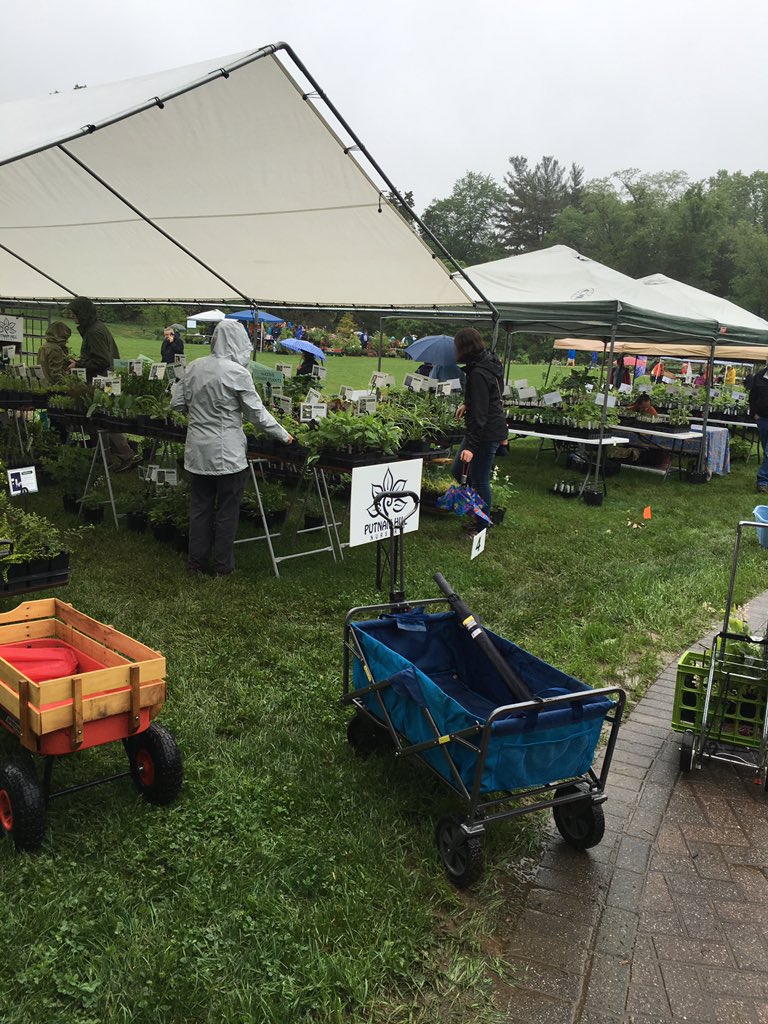 WDCGardener's tweet photo. Lots of great vendors at #greenspringgardens plant sale going on now rain or shine Til 3pm near #Annandale #va #nova #FairfaxCounty #plantnerds #gardengeeks #vagardening #publicgardens #gardendc https://t.co/AH1TkjYvDg