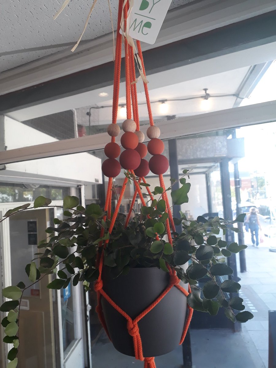 These stylish plant hangers were made by local crafter Katie Mitchell and are on sale <a href="/justsoflowers/">Just So Flowers</a> <a href="/TheArchieParker/">Archie Parker</a> come and take a look, we have lots of gorgeous colours and you can use you <a href="/SouthLondonClub/">South London Club</a> card to get 15% off 😁 #ForestHill #SE23 #southeastlondon @by_me_katie