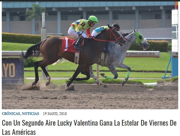 hipicaglobal's tweet photo. “Con un segundo aire Lucky Valentina gana la estelar de Viernes de Las Américas”, en: https://t.co/ny7zZQPmEE
@hipodromomex,@jchoderlin,@spinozaimage,@JoseAngelJockey,@josedaniel11,@harasgranmatiz,@comunicacionJDG,@deportesglobal,@zonahipica,@HarasCerroPunta,@5VRacing https://t.co/opmyq6fNRh
