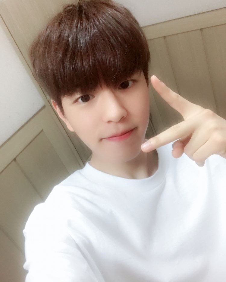 seungminphotos's tweet photo. soft and sweet https://t.co/RAvlM7WDY6