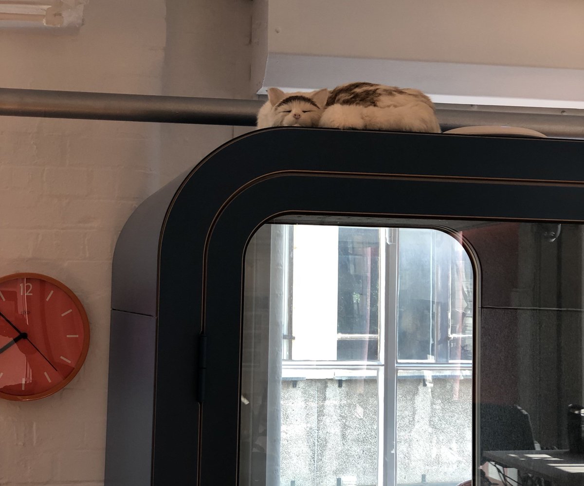 itrmltd's tweet photo. At #ITRM we have years of experience in designing, installing &amp; testing #Cat5e &amp; #Cat6 #networks. Fitting then that on site today our cabling team thought at first that this 'cat' was watching them somewhat too intensely.....!  
https://t.co/A5UgHAQpor https://t.co/pSqMeYc8O9