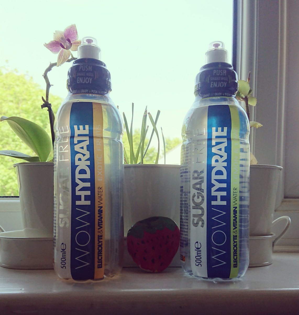 Emmylouise15's tweet photo. My new favourite drink. Perfect for a sunny day ☀ @wowhydrate
#triyit #hydratelife #exoticfruits #lemonandlime #refreshing #vitamin #electrolyte https://t.co/OgvgFikxEb