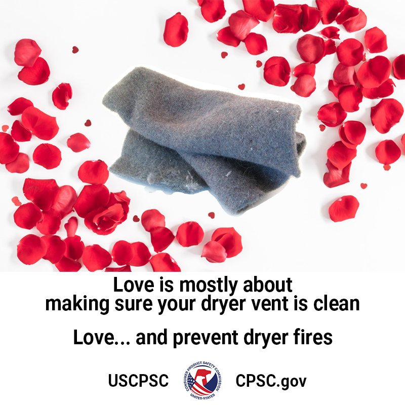 A picture of dryer vent lint surrounded by rose petals. The text reads: Love is mostly about making sure your dryer vent is clean. Love... and prevent dryer fires.