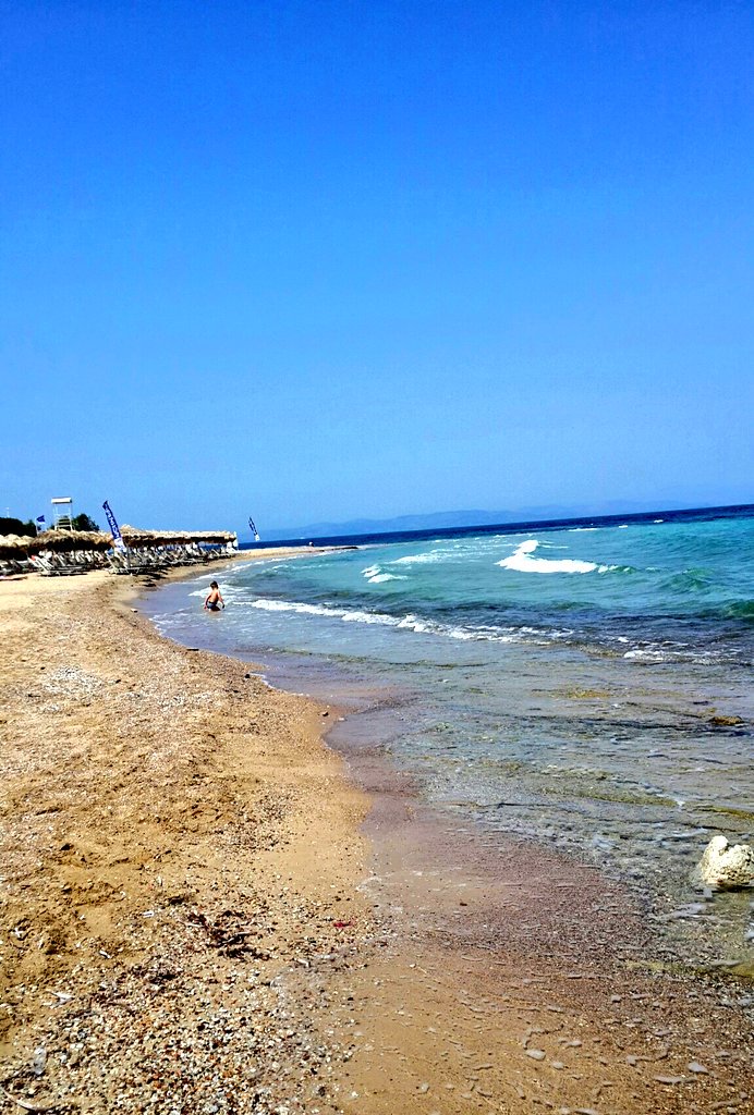 MJerolimov's tweet photo. ✔ may 19 opened a  swimming season 2018 https://t.co/7D6BtpjuEH