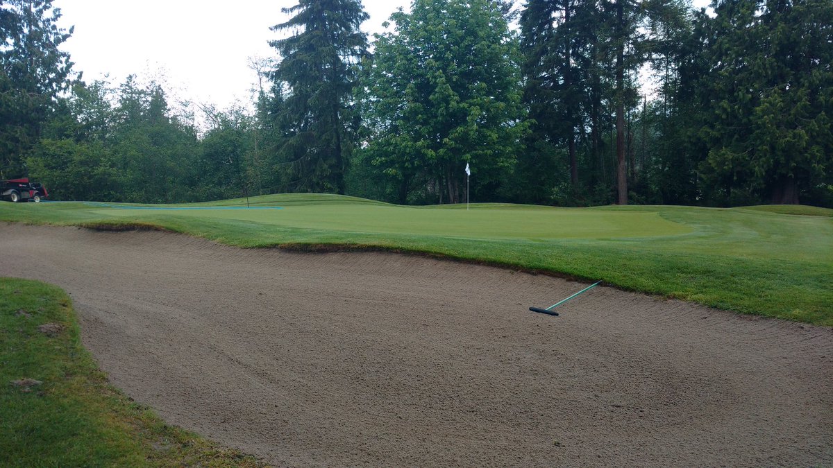 Shaun Reid tweet media