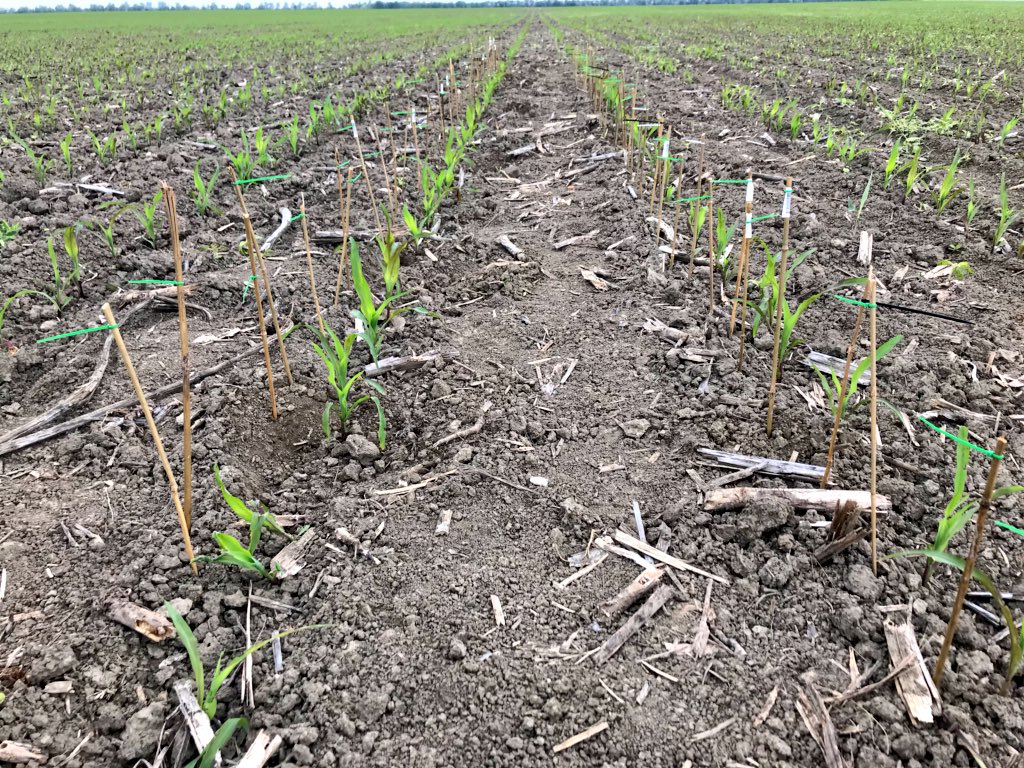 Precision Planting Europe tweet media