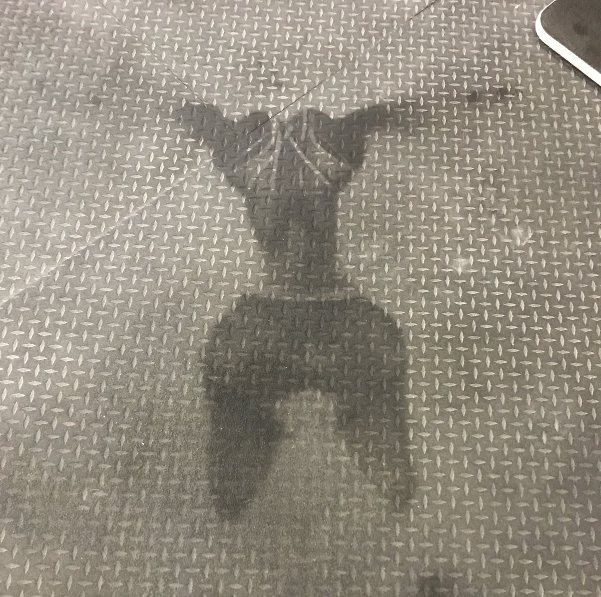 PrairieCrossFit's tweet image. The showings of an awesome workout 😎🤩😅
#sweatangelsaturday 
Can you guess the body that belongs to this angel? 
#winnipeg #winnipegcrossfit #winnipeggym #crossfit #sweatangel