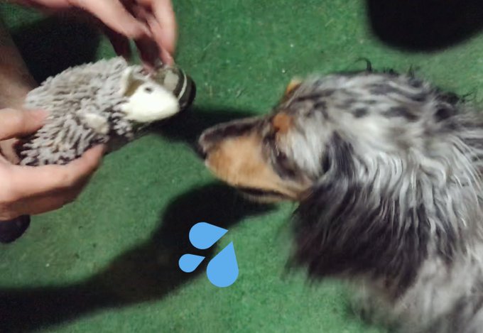 犬用のtwitterイラスト検索結果 犬用のtwitterイラスト検索結果