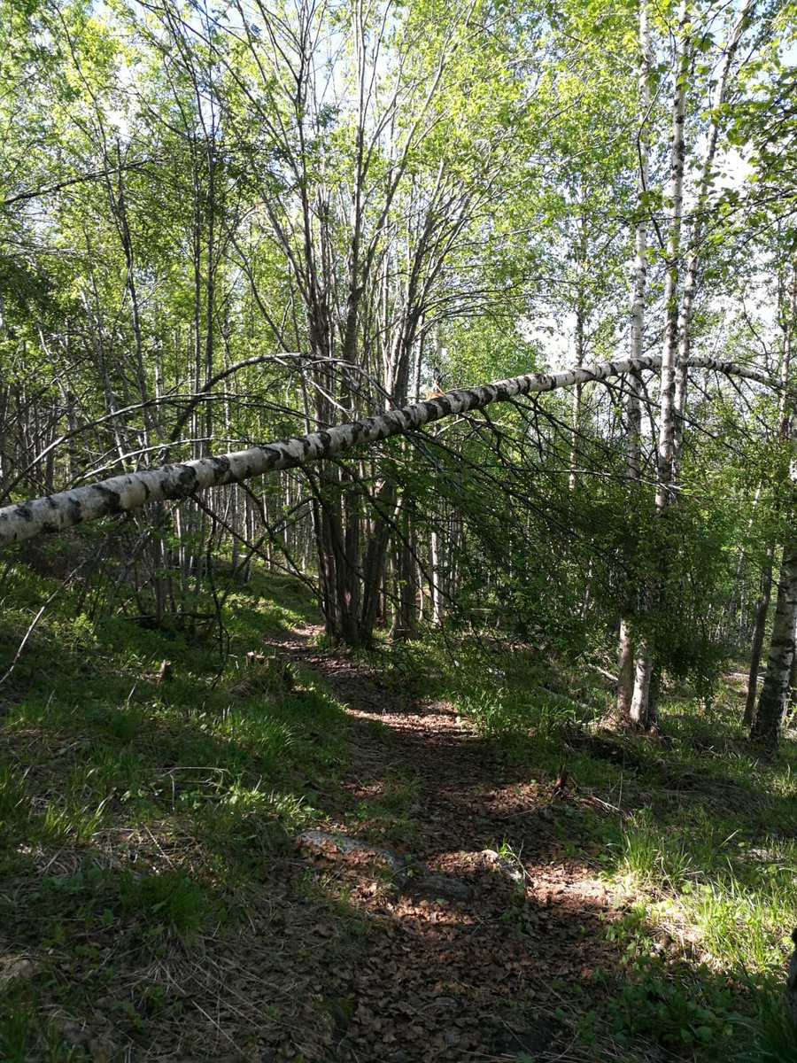 Reittikatselmusterveisiä 👌🚵 Kuusi viikkoa tapahtumaan #tahkomtb2018 #tahkomtb