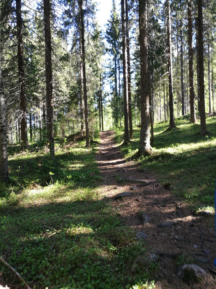 TahkoMtb's tweet photo. Reittikatselmusterveisiä 👌🚵 Kuusi viikkoa tapahtumaan #tahkomtb2018 #tahkomtb https://t.co/CbMB9gzSpN