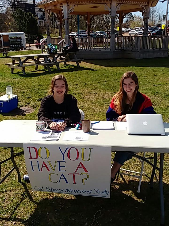 Own an outdoor cat? Sign up for this study happening at Mount Allison!