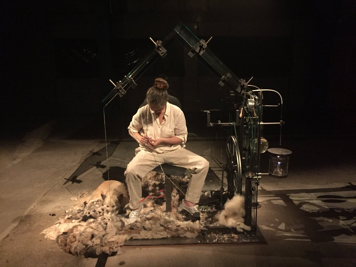 kapelicagallery's tweet photo. Maja Smrekar performing at #clickfestival. Making home for #hybridfamily by using hair of the artist and her dogs. https://t.co/E24OJGHqac