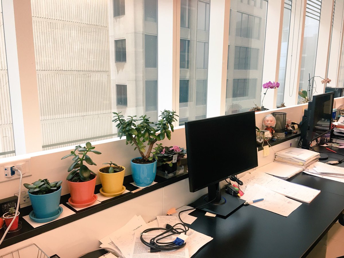 reb_mok's tweet photo. It might be a cloudy day outside, but all the plants make the lab a happier and brighter place! #plantlady https://t.co/ixVJ2pnbwJ