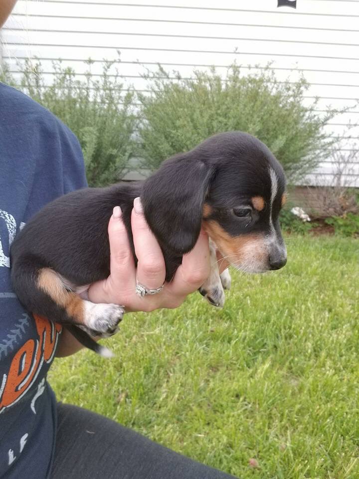 SH3LBYTOMASIK's tweet photo. Everyone convince Jake Remy needs a friend plz thx https://t.co/9nJIgHKxLr