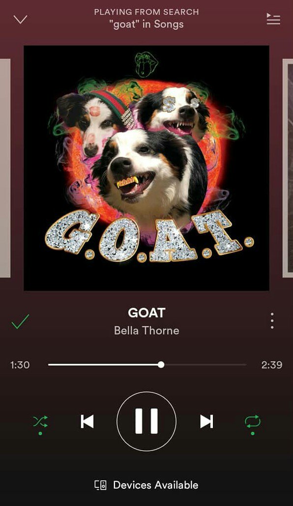 datcrazybitchan's tweet photo. @bellathorne is killing me with her new songs and supporting  this sweet &amp; talanted person makes me feel so good♥ #bellathornecanrap https://t.co/bdBKPhyYlG