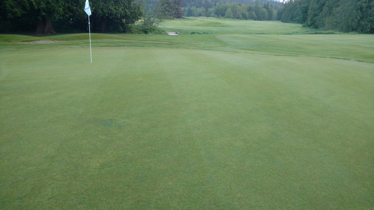 Shaun Reid tweet media