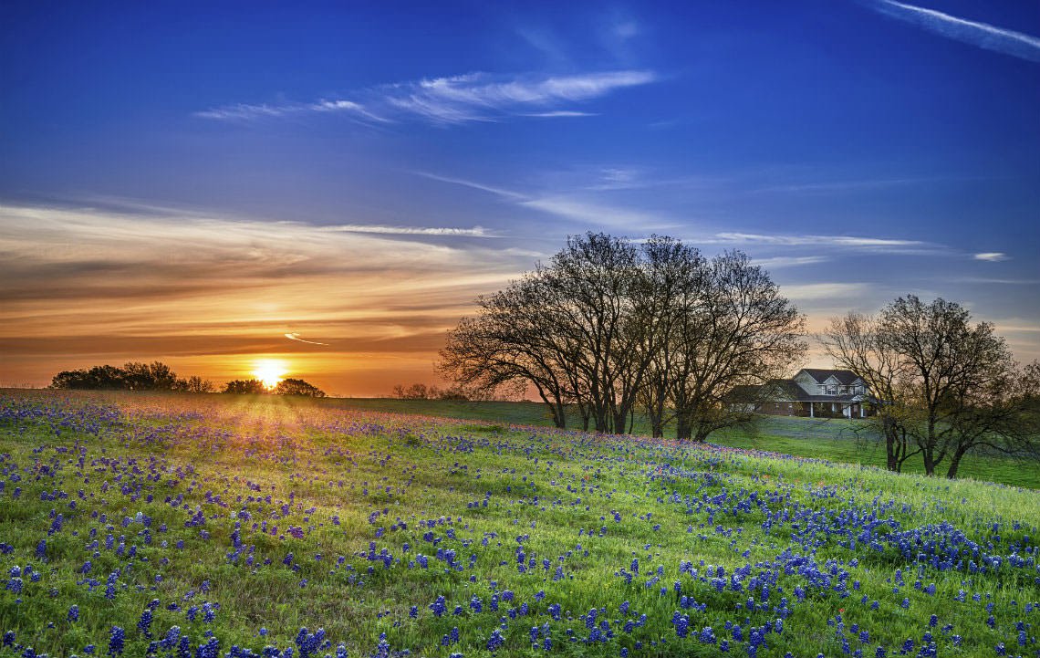 Buying #LandInTexas never looked so beautiful. #Texas #BlueBonnets #Rural hubs.ly/H0c7HT_0