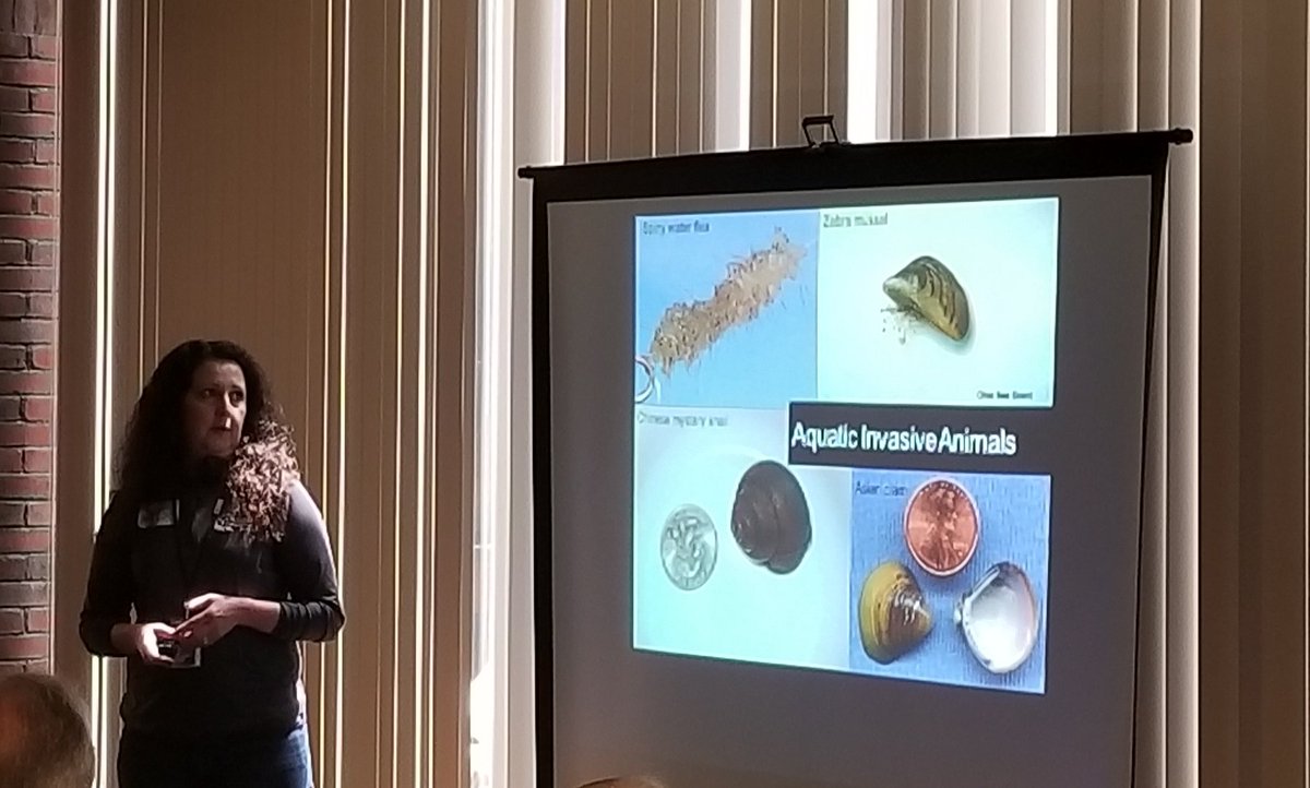 NHDES's tweet photo. Aquatic invasive animals are microscopic as larva. In #NH do not transport water between lakes or else you may spread these invasives. #invasivespecies #biodiversity #watershed #nhvlap #waterquality #citizenscience https://t.co/CYsi5pgyXa