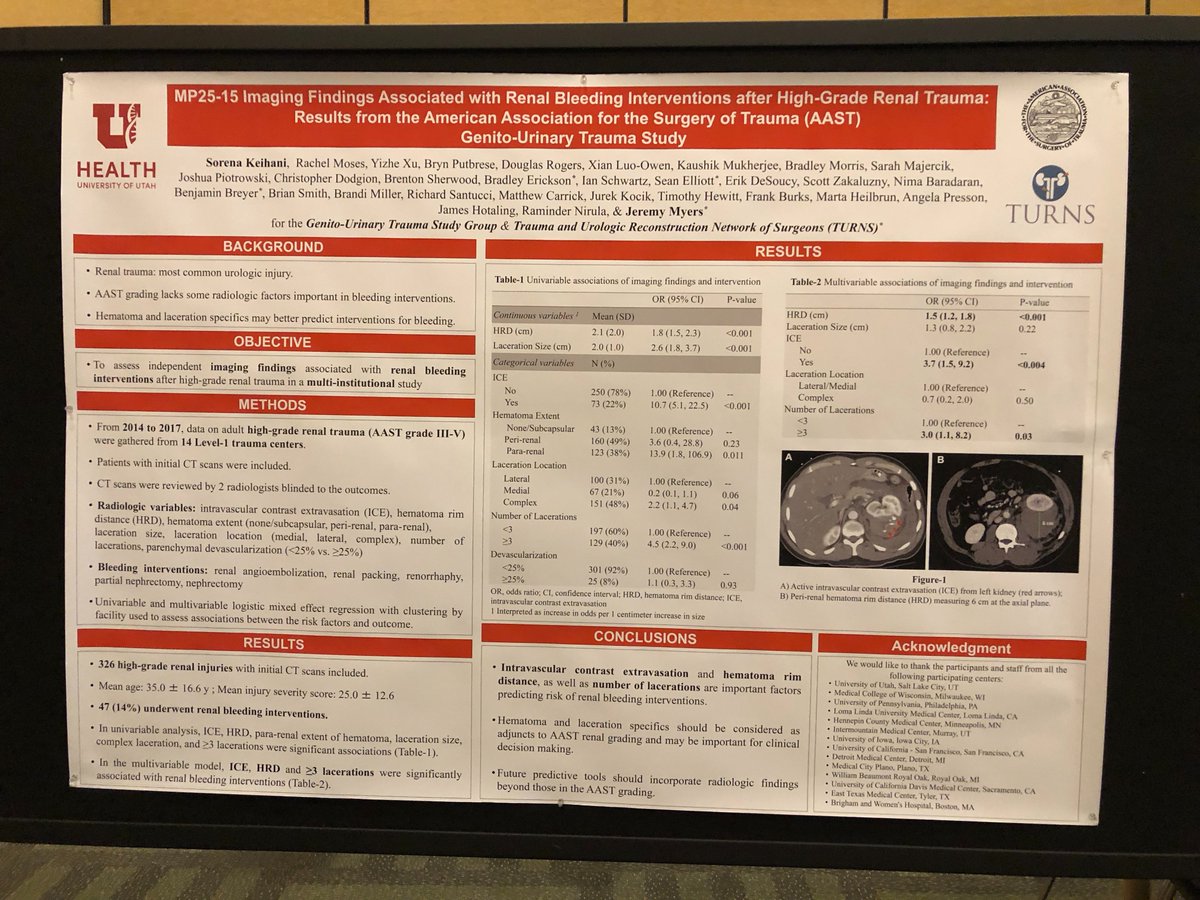 SocietyGURS's tweet photo. #AUA2018 GURS poster session - Peri-renal hematoma rim distance, ICE, complexity of lacerations, comes up again and again in studies as sig associated with interventions for bleeding - @researchTURNS @UtahUrology - Great work! https://t.co/p1a5yrN98b