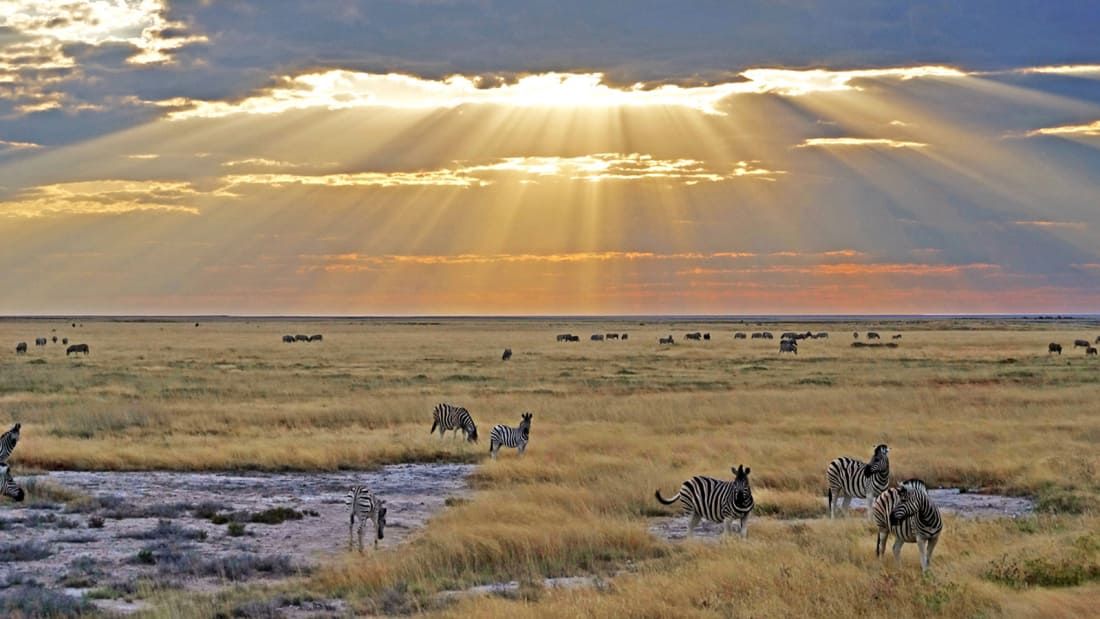 CNNTravel's tweet photo. Namibia was rumored to top the list for the Duke and Duchess of Sussex's honeymoon. They won't be leaving right away - they're starting right in on charity work. Meanwhile, find out why this country was a favorite royal vacation spot: https://t.co/e8TuJ9cYv9 #RoyalWedding2018 https://t.co/eYmogq2k38