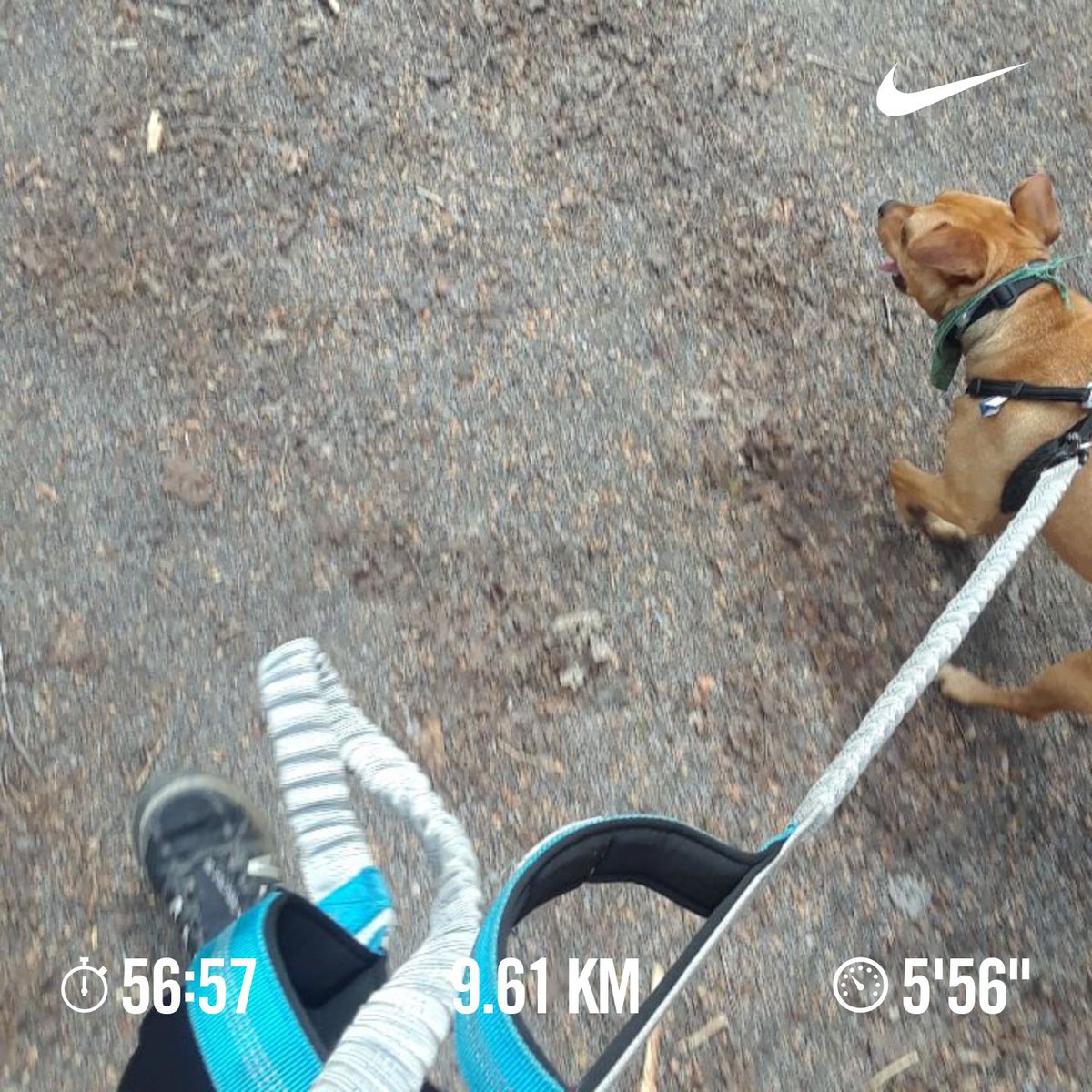 MxManos's tweet photo. 9.5K = 58min #running #KBrun ๐ถ๐๐โโ๏ธโ #Laurentides https://t.co/ypLj0KRh9B