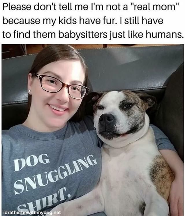417PetSitting's tweet photo. Yep. And also find good babysitters that will love them and care for them as much as you do. 💓 .
.
.
.
.
.
#417petsitting #417petsitter #springfieldmo #sgf #petsitting #petsitter #417land #ozarkmo #nixamo #rogersvillemo #marshfieldmo #republicmo #bat… https://t.co/vwMbWHRcec https://t.co/JdvDaRnJTe