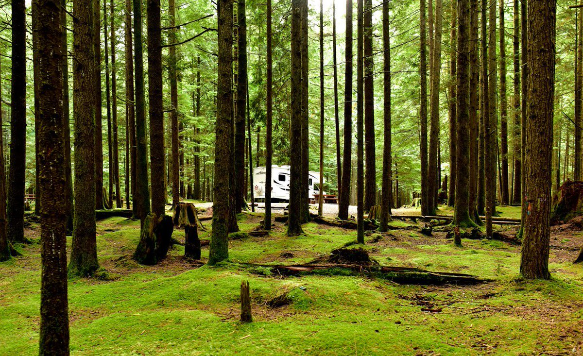 Fraserway RV Rentals (FraserwayRVRent) Twitter