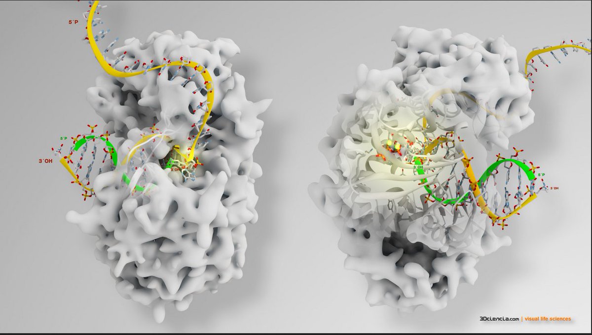 Molecular Research Limited tweet media