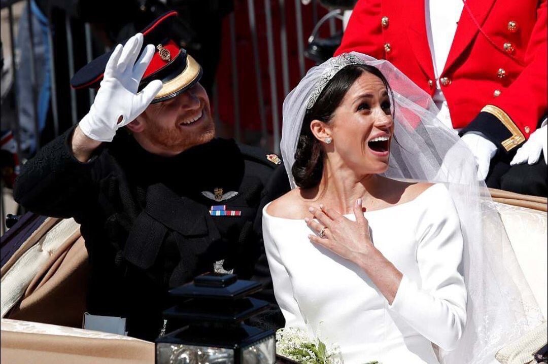 SUEtheTrex's tweet image. 