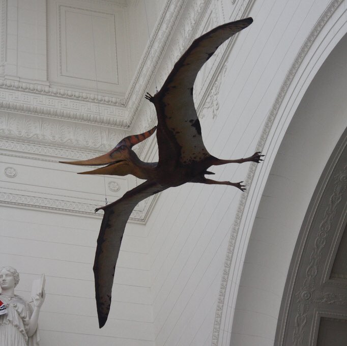 SUEtheTrex's tweet image. 