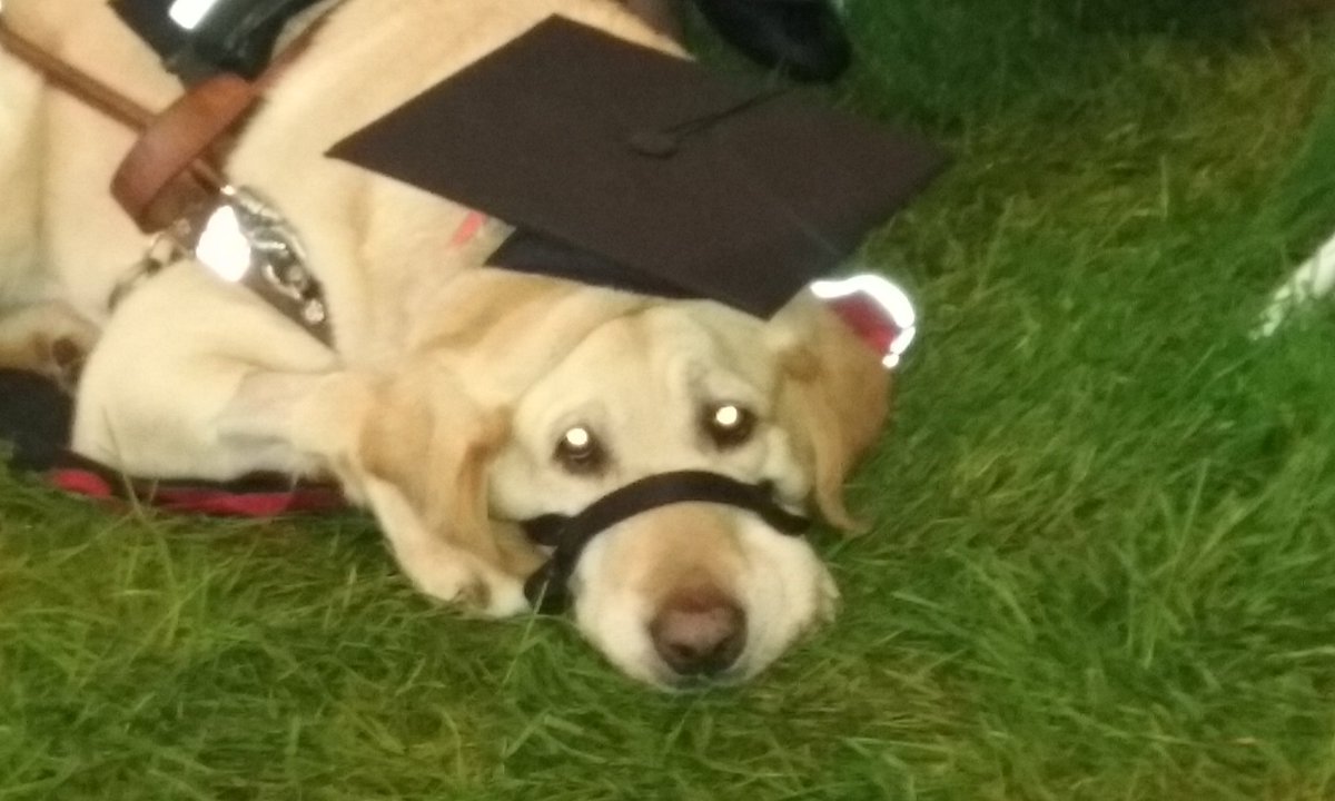 DelValTurf's tweet photo. Congrats Thai.  Thanks for helping Danielle #delvalgrad #ourdelval @DelVal https://t.co/4zfQ26tRQw