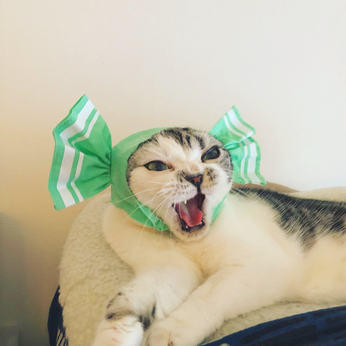 やめろや やめろやーーーーー 峰浪りょう 少年のアビス 5巻6月18日発売 のイラスト