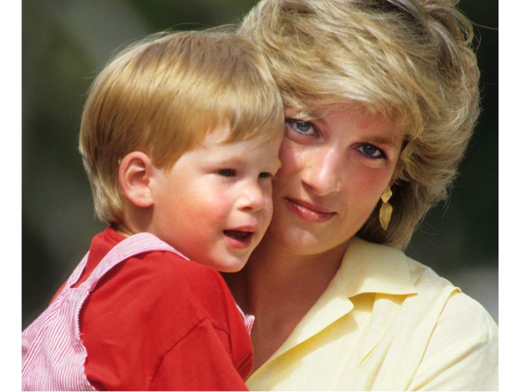 El homenaje de Harry y Meghan a Lady Diana 
▶️bit.ly/2wVn5O4