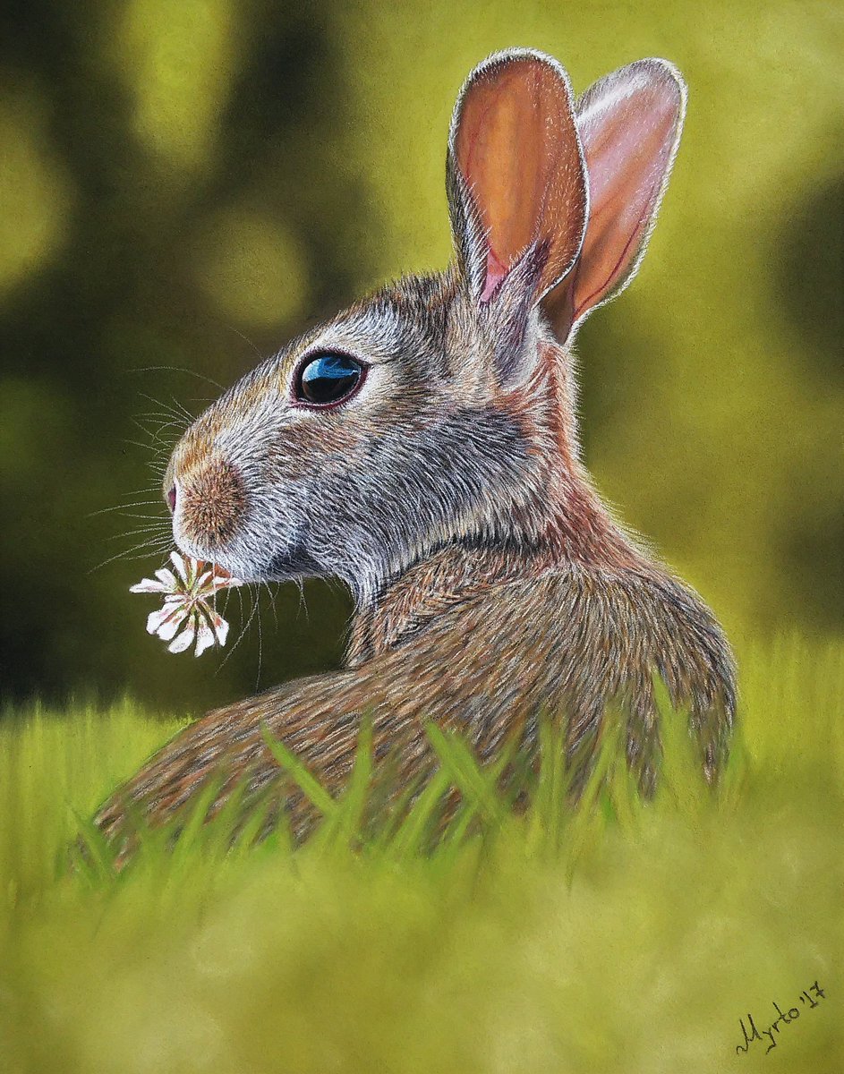 MyrtoArt's tweet photo. This little guy is on his way to the US now!!! Always so exciting to send one out to its new home!!!!! ❤️❤️❤️

#wildlifeart #artist #painting #drawing https://t.co/tzPKJWfxTf
