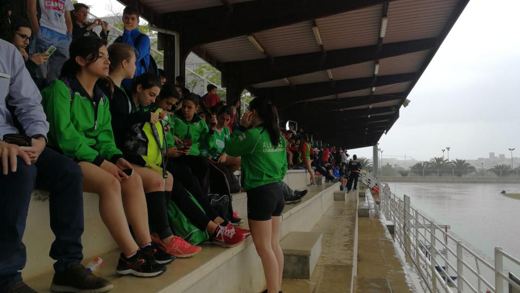 Atletismo Navalmoral-Campo Arañuelo Trail tweet media