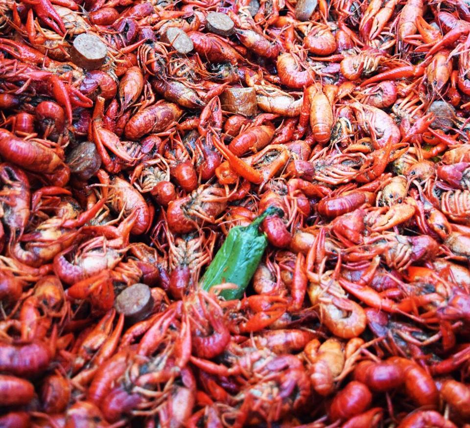 bootjackbar's tweet photo. Join us today for your last opportunity to suck some heads this season! We'll have the Nutty Pig Food Truck on site servin' up all you can eat crawfish starting at 3pm. #crawfish #boerne #bergheim #bootjackbar https://t.co/Xr0liVG0Tm