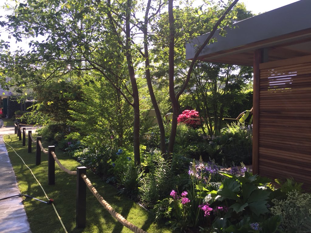 chrisbeardshaw's tweet photo. Day20 @MorganStanley #RHSChelsea garden for @NSPCC almost complete - time to start stepping back and let the garden find its voice https://t.co/bniam0f4Xz