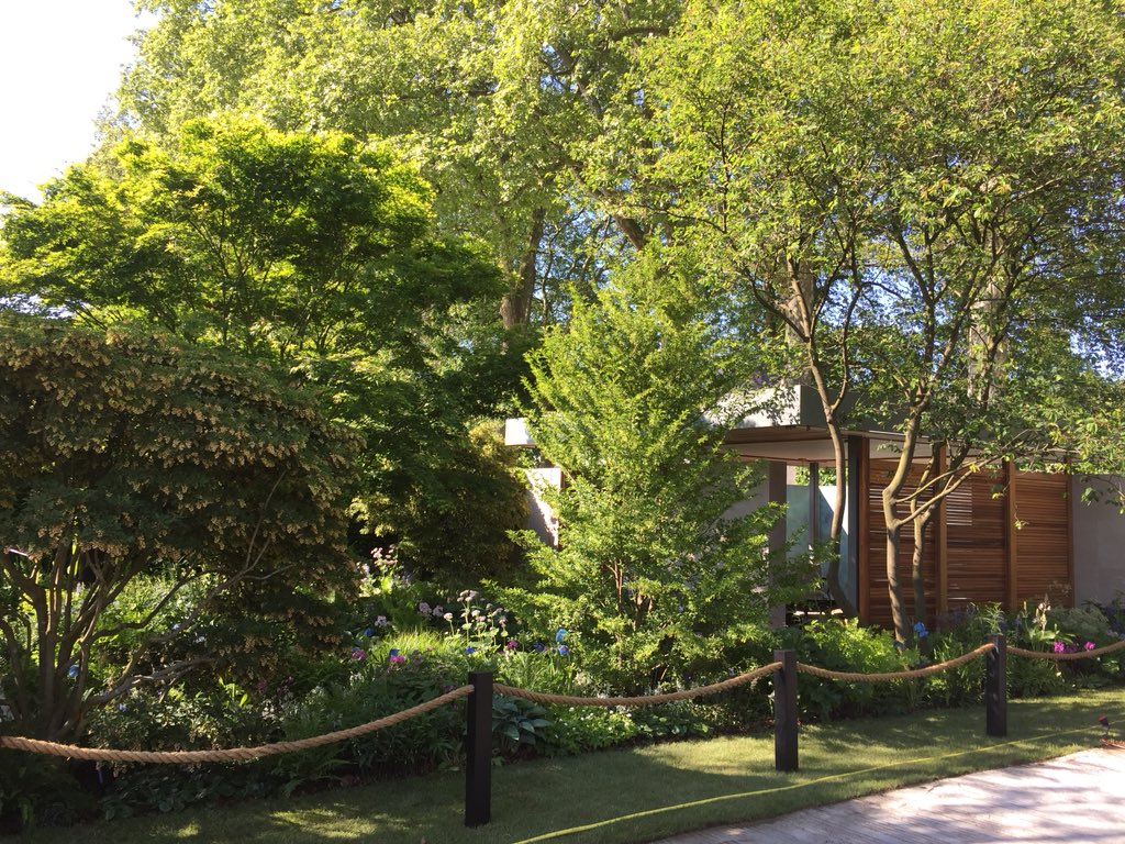 chrisbeardshaw's tweet photo. Day20 @MorganStanley #RHSChelsea garden for @NSPCC almost complete - time to start stepping back and let the garden find its voice https://t.co/bniam0f4Xz