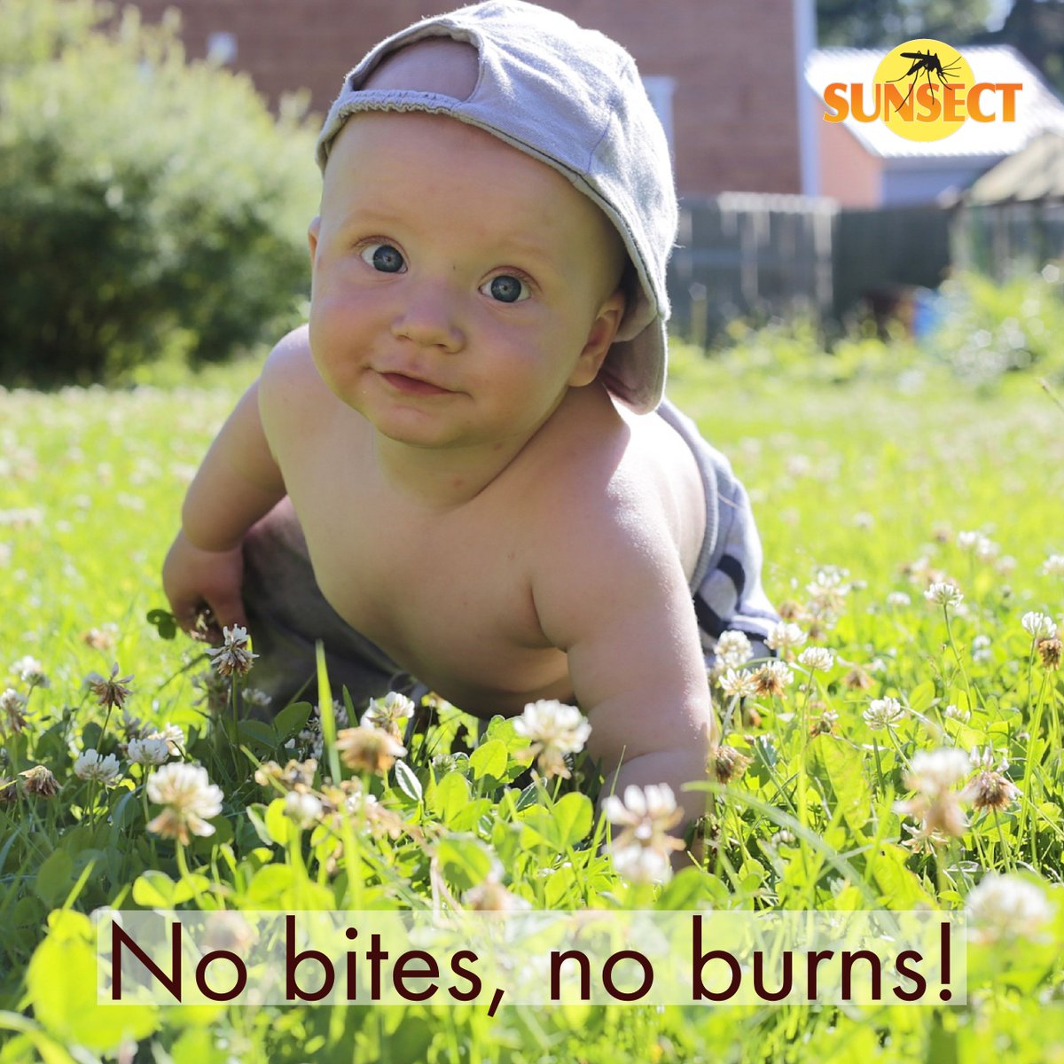 Sunsect15's tweet photo. No Bites, No Burns!  Sunsect was originally developed for military use and rigorously tested in diverse environments the world over.  It is proven effective and safe for children!  #InsectRepellent #Deet https://t.co/0IJ5llTrOn