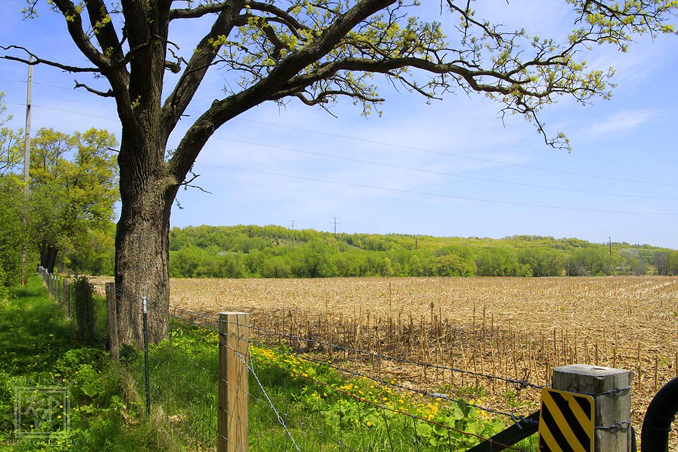 KjpPhotography's tweet photo. Just off Hwy 14 outside of #MiddletonWisconsin At #BlackEarthCreek- Sunnyside Unit #DaneCounty #Wildlife Area. (5-18-2018)  #CanonBringIt #Tamron #photography #landscapephotography #nature #trees #Path #ThePhotoHour https://t.co/CmAjpkRf9S