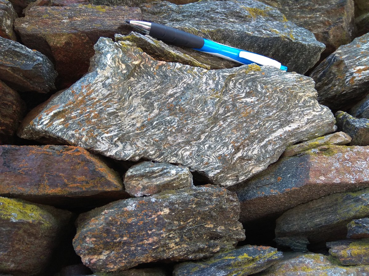 MicasJoana's tweet photo. Another #FieldWork day with stunning #folds on flaser gabbros (coarse-grained blastomylonite formed #shearing), Morais Massif, Bragança, #Portugal. These rocks belong to an ophiolitic sequence.
#geology #BasicRocks https://t.co/zbjbwHdUeh