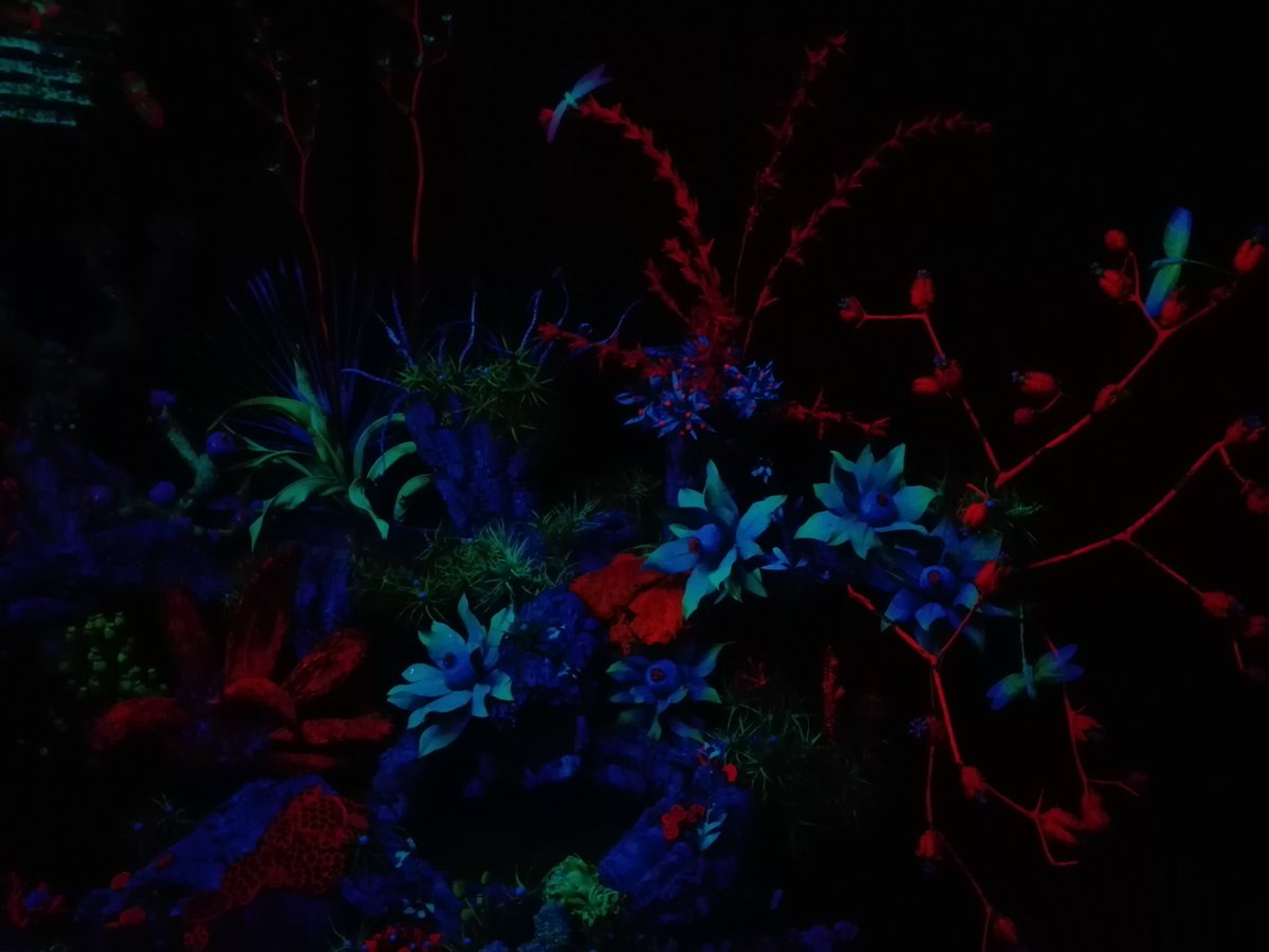 Avui hem fet una petita escapada a veure temps de flors a Girona 🙋 el nostre espai preferit el del <a href="/GironaFC/">Girona FC</a> 😍 i el Bosc dels Somnis 💫