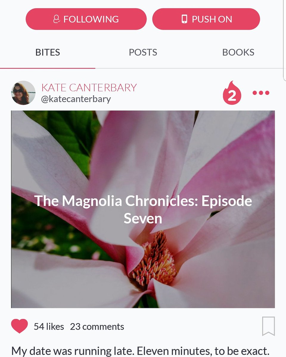 dcstrick76's tweet photo. I am loving all things Royal Wedding. However, I am also loving all things @kcanterbary! If you aren't following her on Book+Main, you NEED to get on that NOW.
#MagnoliaChronicles #Gigiismygirl #TeamGigi #datinglife #magnoliainbloom #TwoMenAndAGigi
https://t.co/khCqLR7Qq1 https://t.co/i9KIUsy1RG
